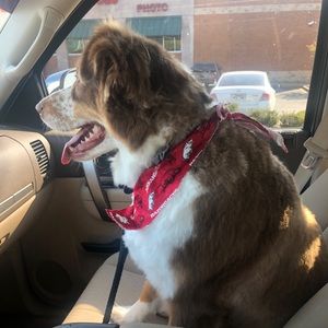 Meet your Posher, Evan